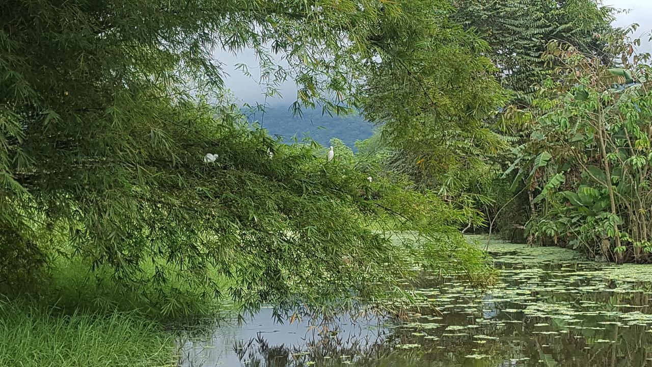 Hospedaje La Galerie Ciudad Cortés 外观 照片